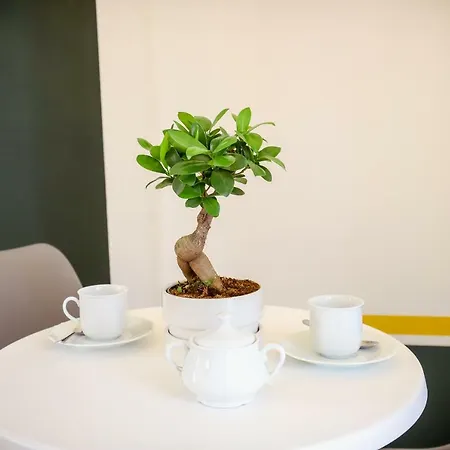 A I R Sant'anna נאפולי